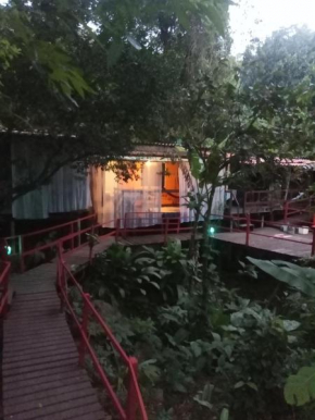 Casa da floresta